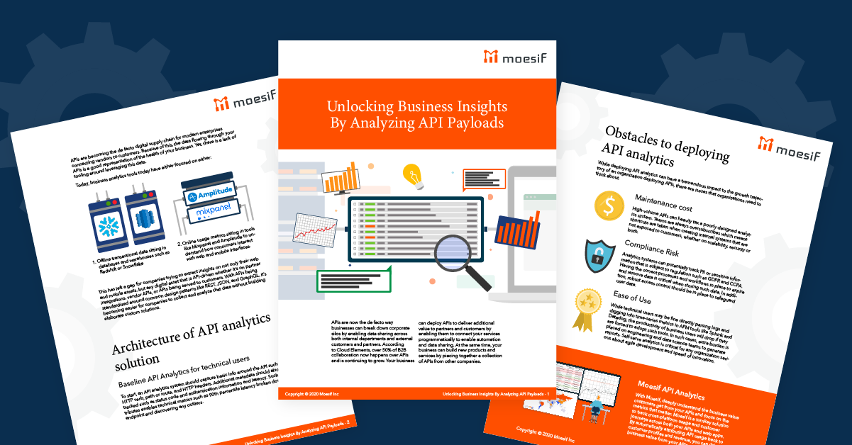 Unlocking Business Insights By Analyzing API Payloads